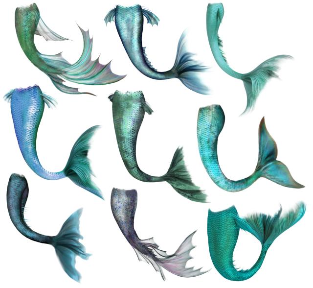 Blog Article Title Image